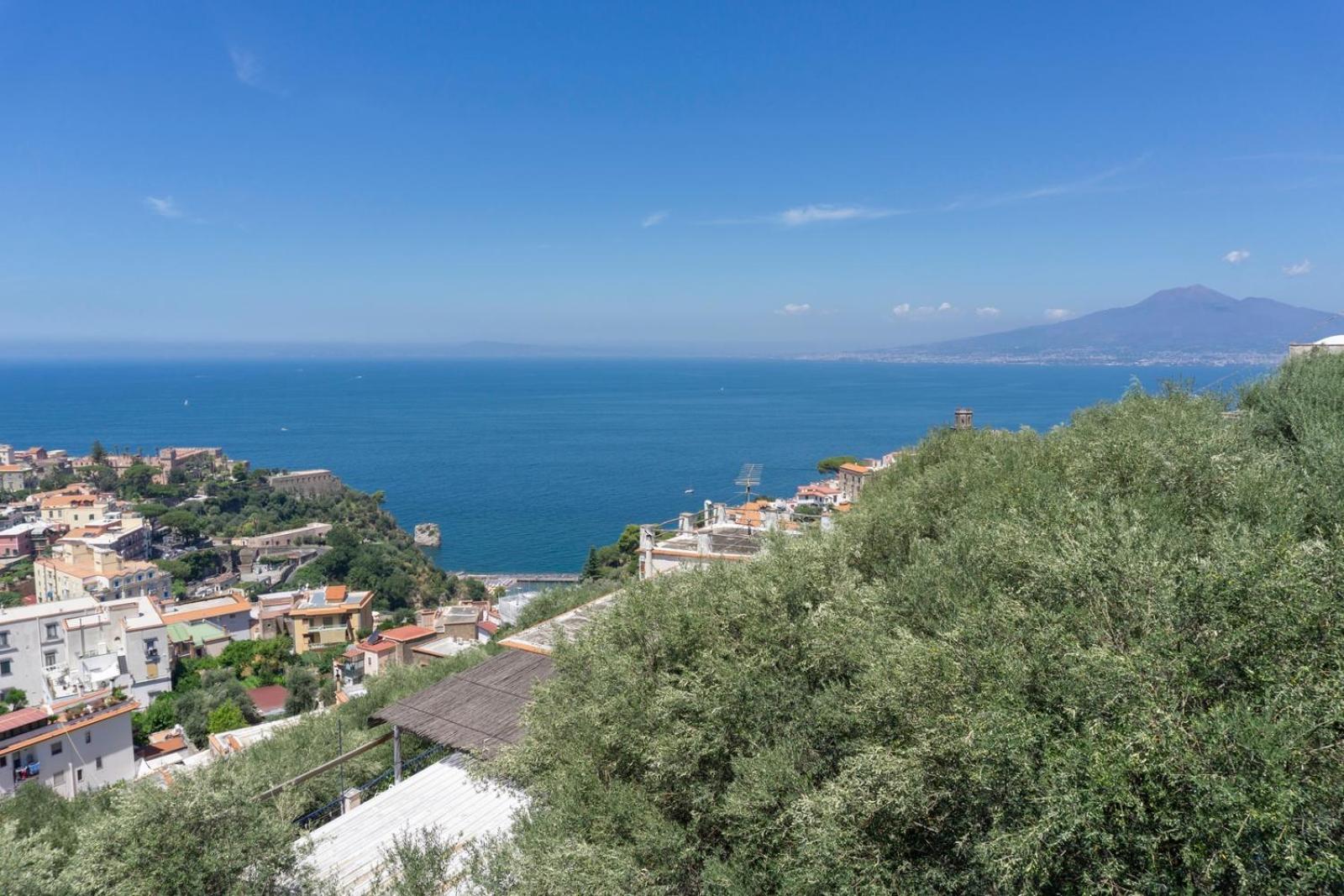 Appartamento In Villa Ariel Vico Equense Eksteriør billede